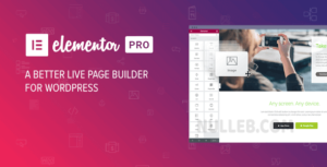 Elementor PRO v3.23.3 – WordPress Page Builder