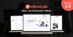 MicroLab v2.0 – Micro Job Freelancing Platform